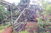 Mangalore: Electric  tower crashes over house in Pavoor